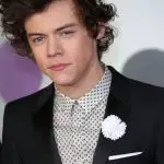 Harry Styles Age, Weight, Height, Measurements