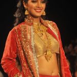 Geeta Basra Bra Size, Age, Weight, Height, Measurements