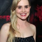 Alison Lohman Net Worth