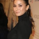 Emmanuelle Chriqui Net Worth