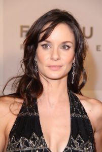 Sarah Wayne Callies