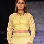 Dia Mirza Diet Plan