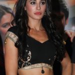 Nargis Fakhri Diet Plan