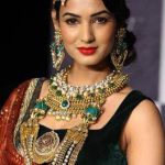 Sonal Chauhan Net Worth