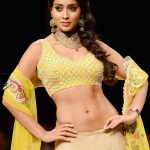 Shriya Saran Workout Routine