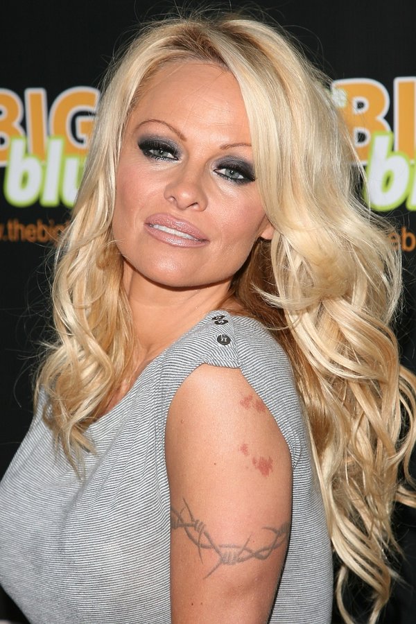 Pamela Anderson: $5 million Pamela Anderson is a Canadian model and actress...