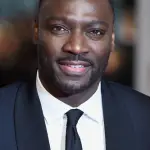 Adewale Akinnuoye-Agbaje Net Worth