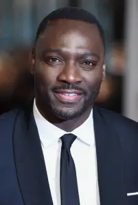 Adewale Akinnuoye-Agbaje